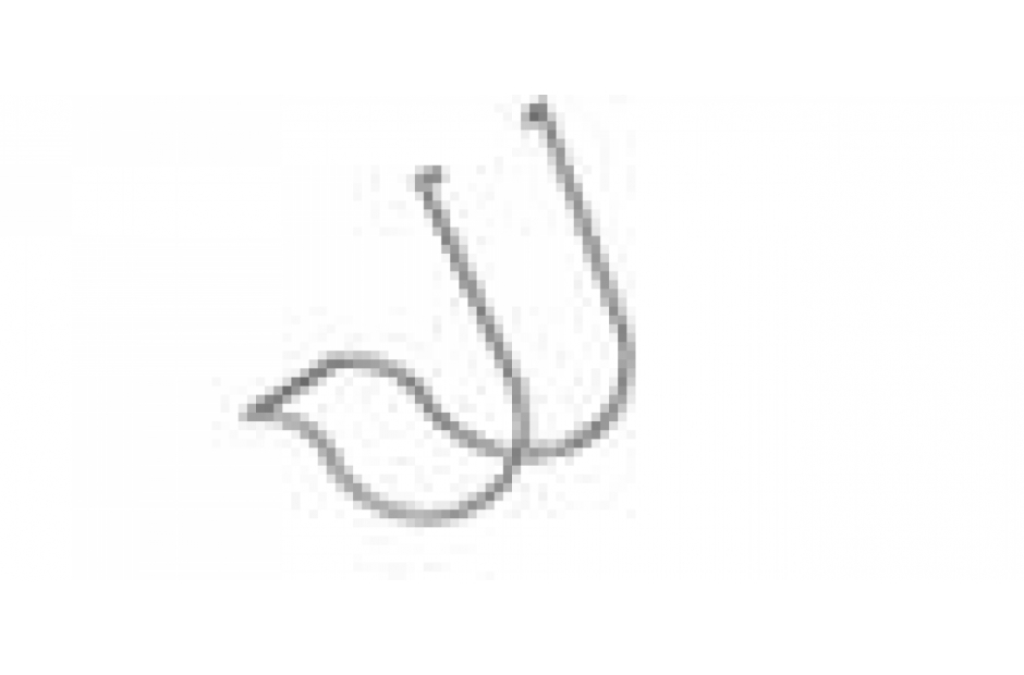 Convoyage & Accessoires